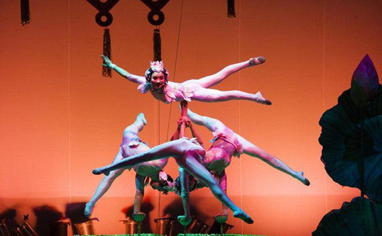 Shanghai Acrobatic Show